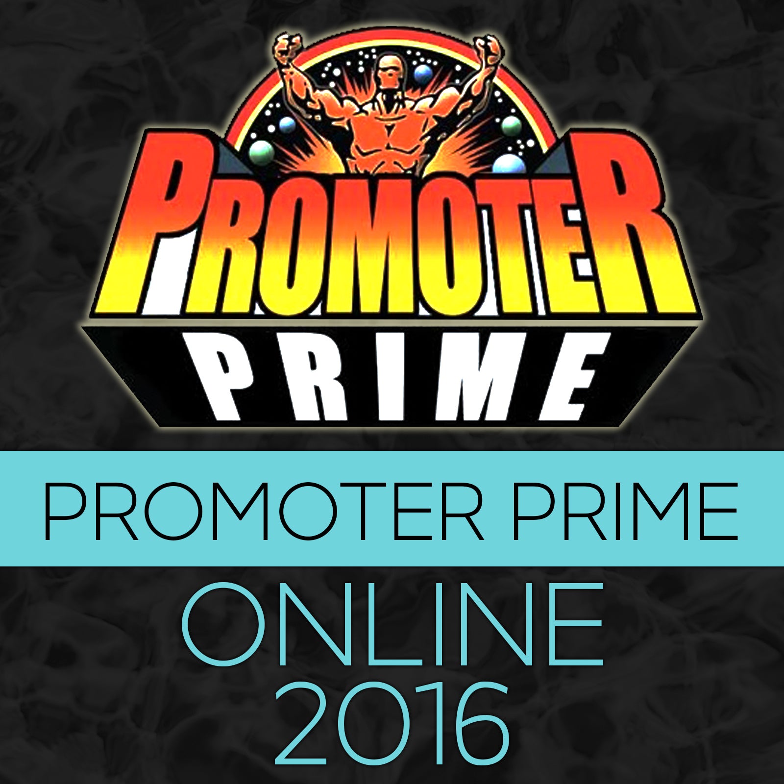 PROMOTER PRIME 2016 Online Version image 0