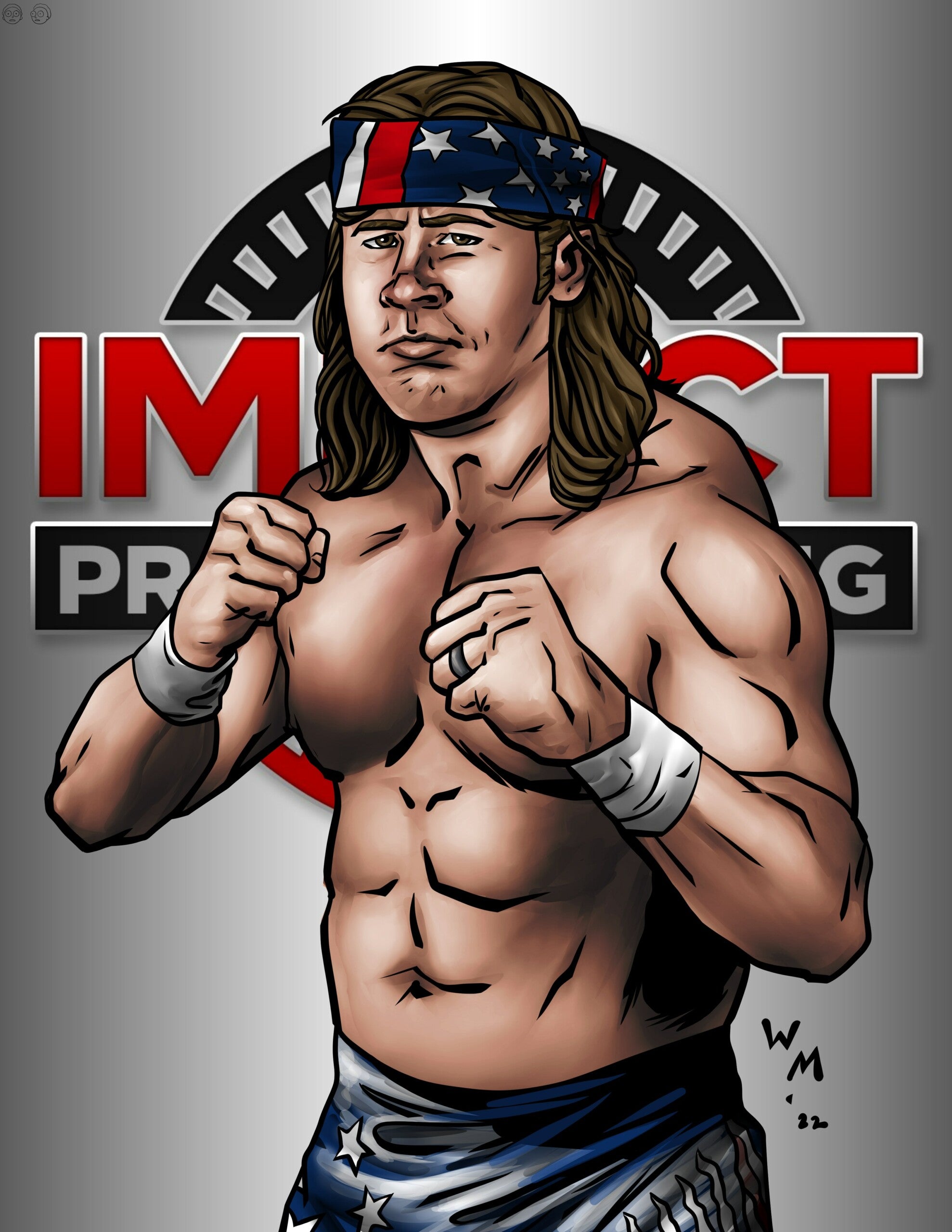 Impact Pro Wrestling image 0