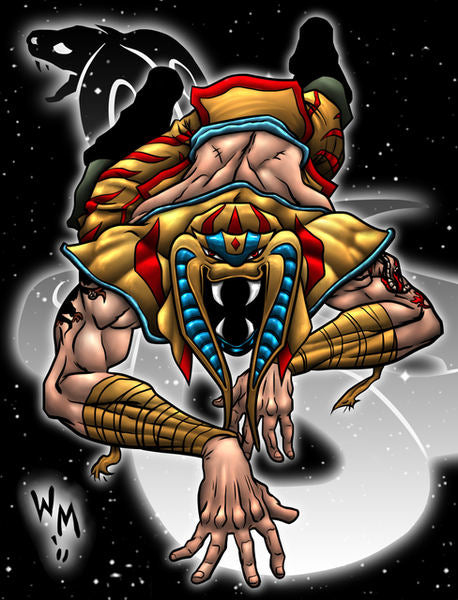 Chikara Collector's 4-Pack image 0