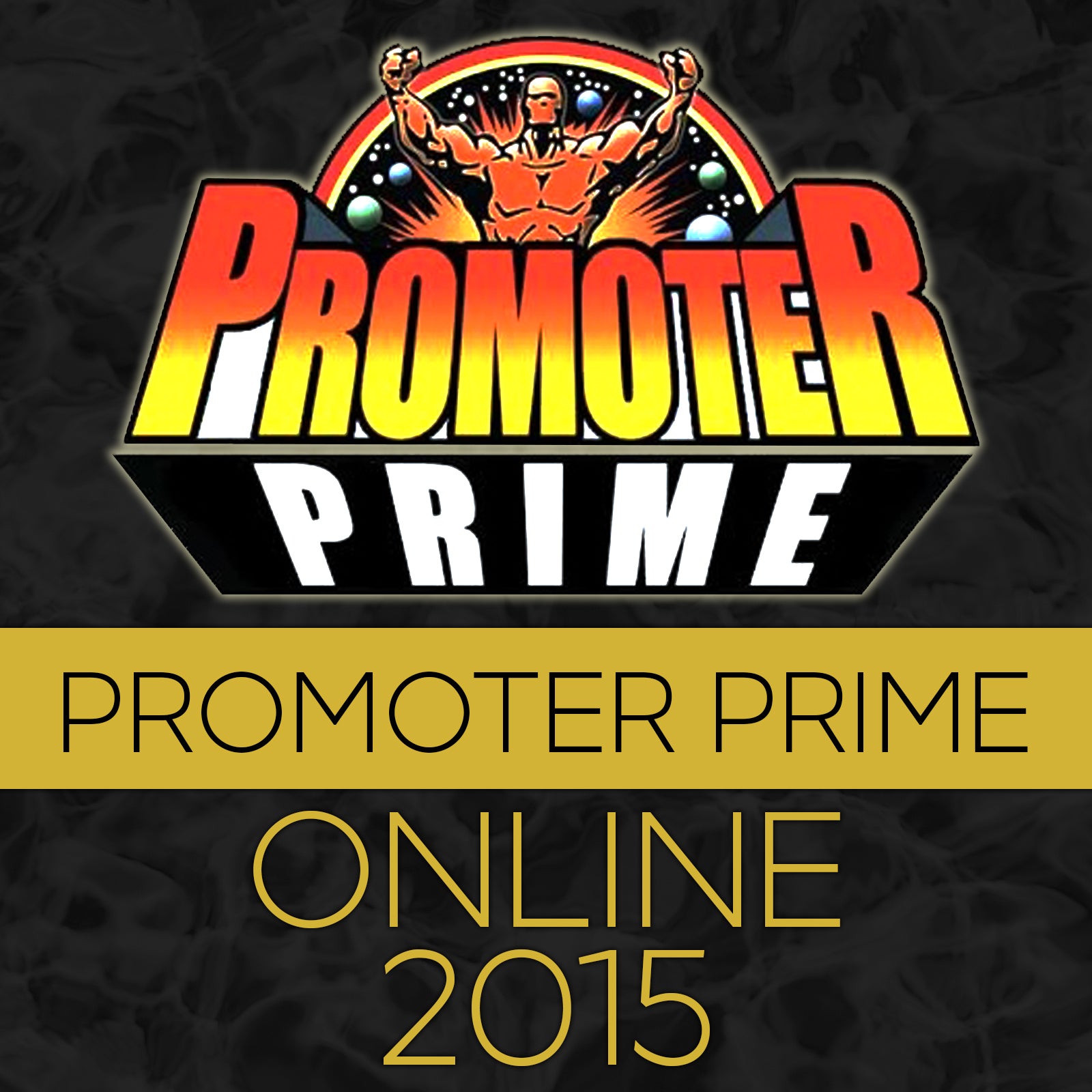 PROMOTER PRIME 2015 Online Version image 0