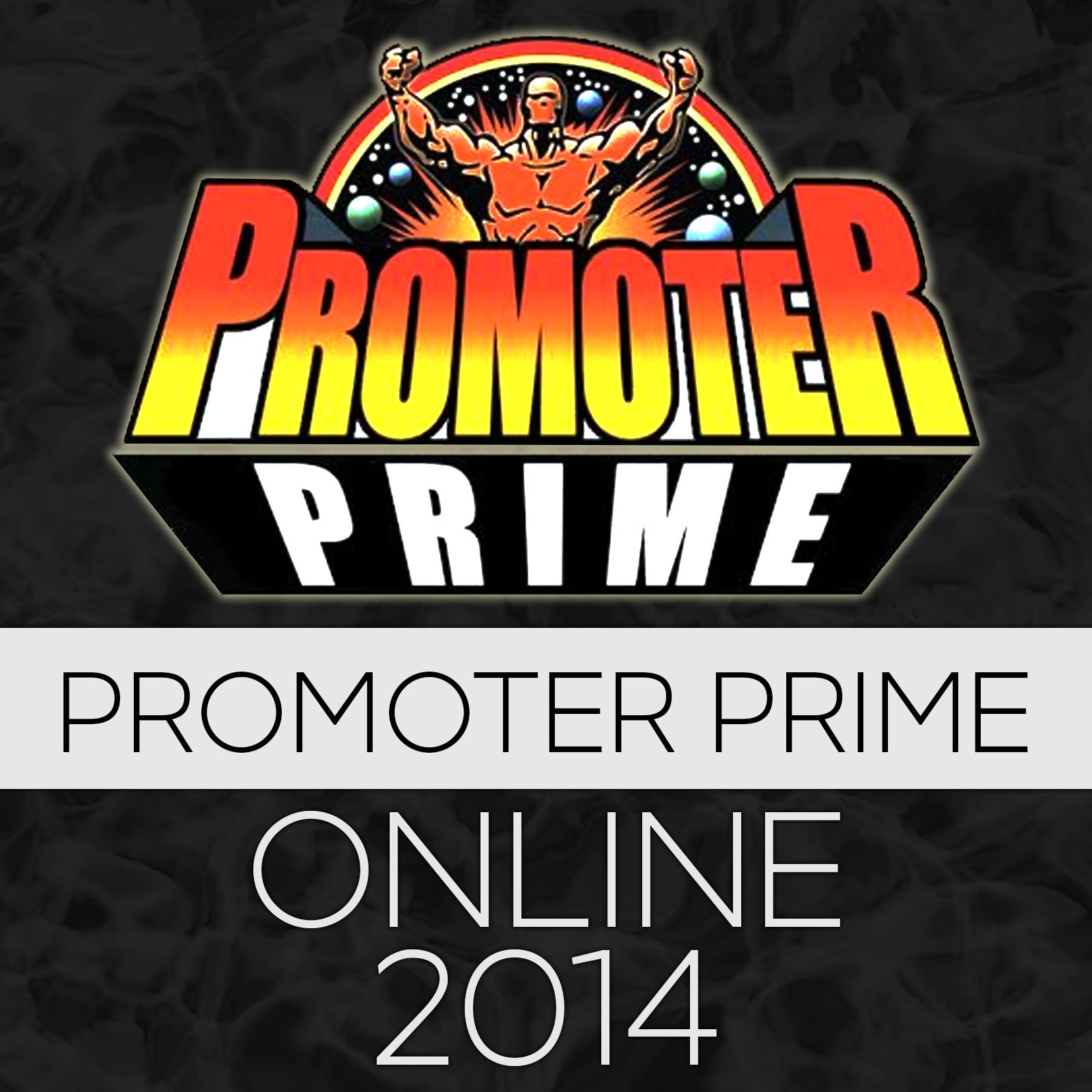 PROMOTER PRIME 2014 Online Version image 0
