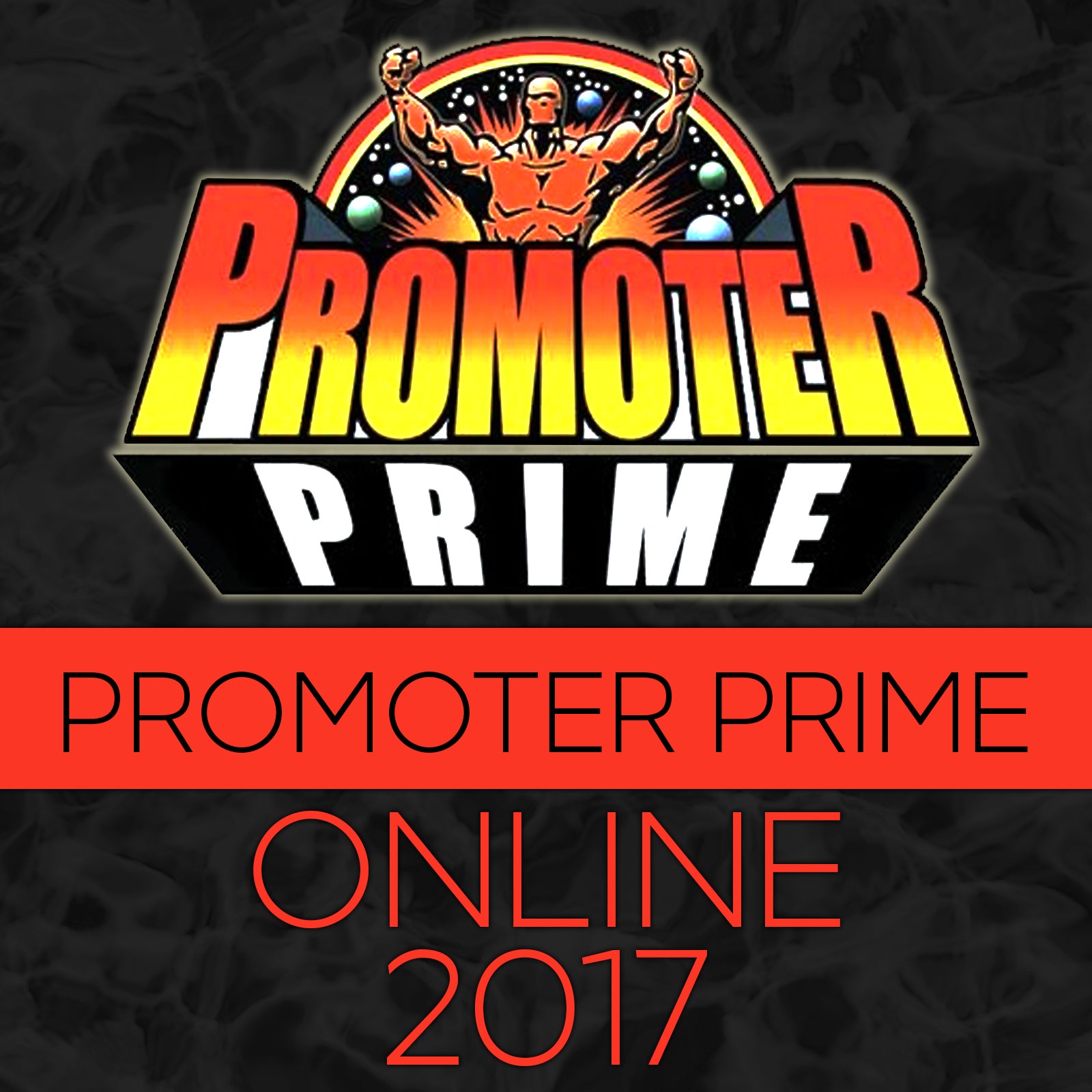 PROMOTER PRIME 2017 Online Version image 0
